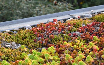 the cost of Hut Green green roof installation